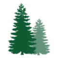 dtc transparent pfp
