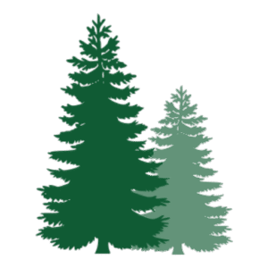 dtc transparent pfp